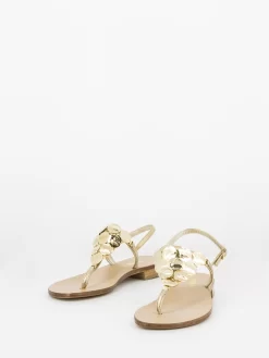Infradito Positano Oro Con Dischi -Birkenstock Italia stimm infradito positano oro con dischi4